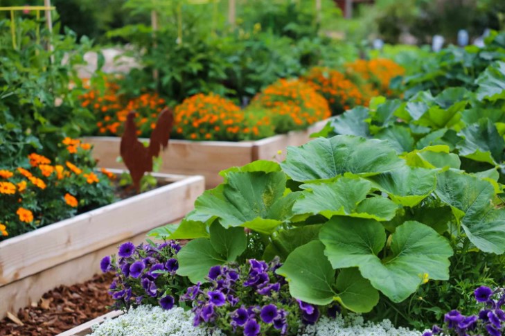 Low Maintenance Vegetable Garden: Tips for a Thriving and Effortless Garden